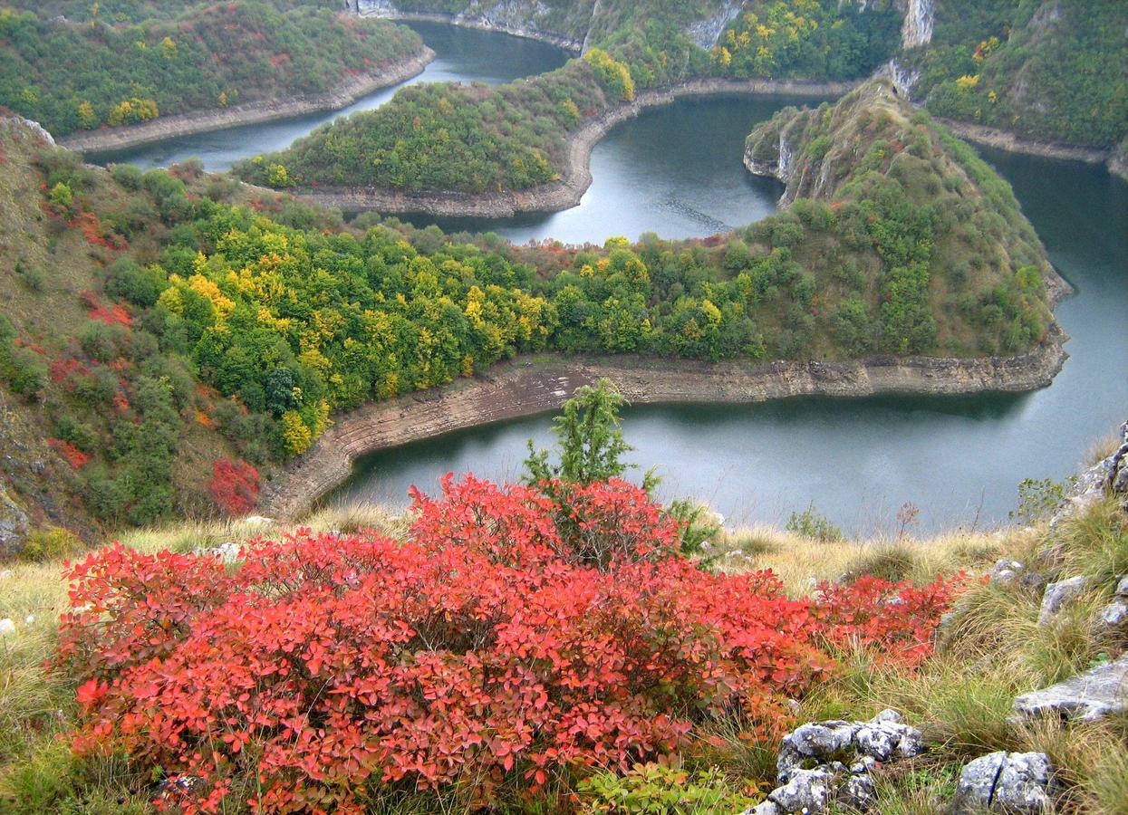 B&B Hisar International Prijepolje Luaran gambar